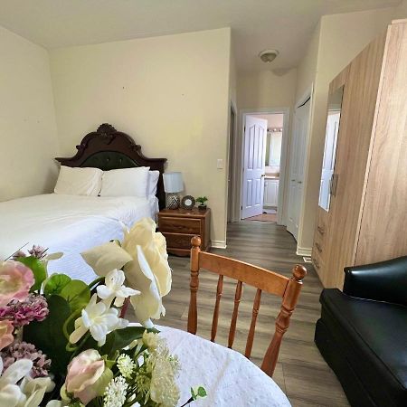 Main Suite Kingston Eksteriør billede